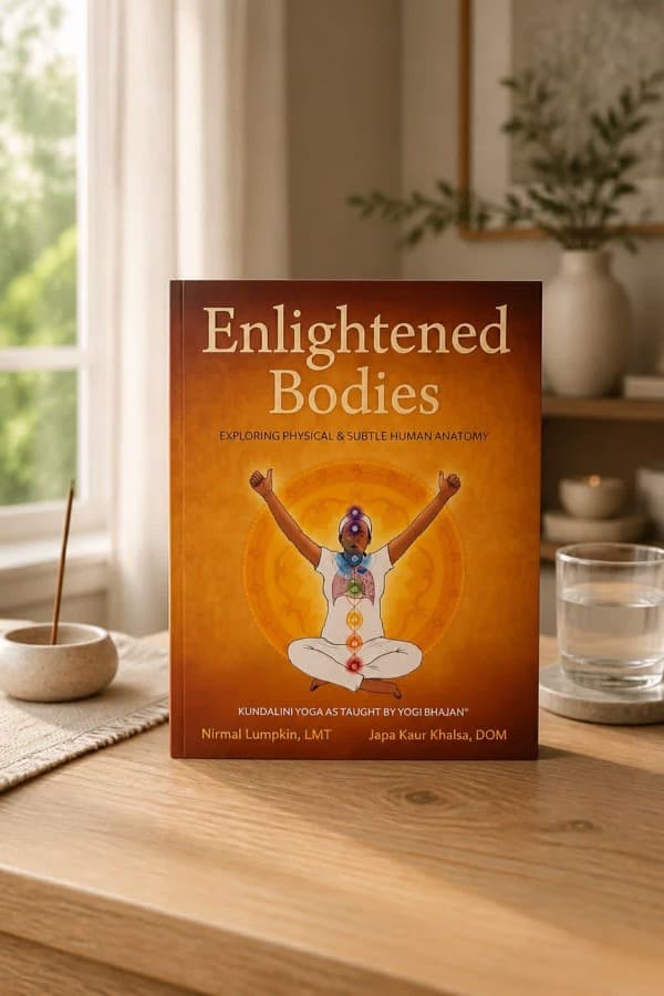Cover of Enlightened Bodies